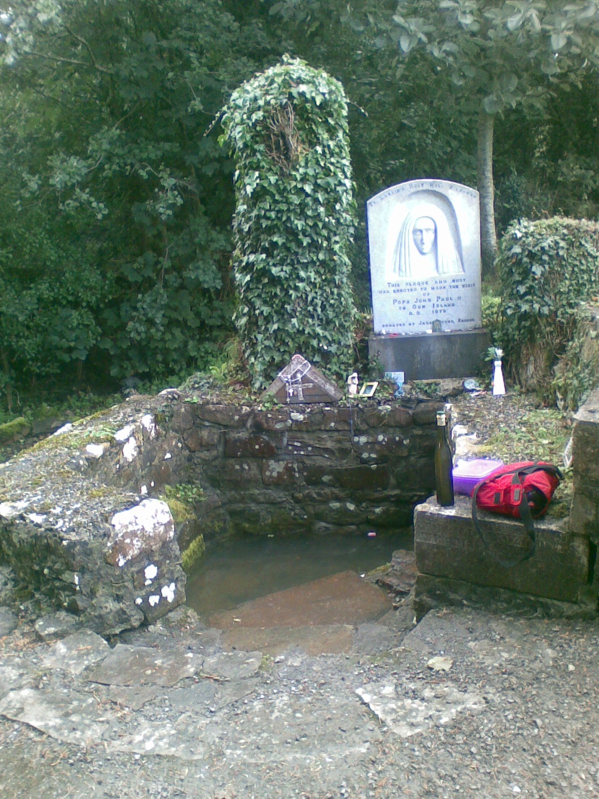 St. Lassair's Well, including the stump of the tree which had coins hammered into its bark