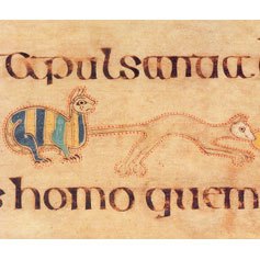 Cat and Mouse decoration from the Book of Kells