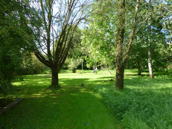 tree circle from the east