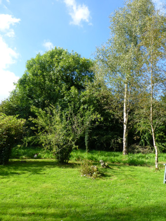 The tree circle looking north