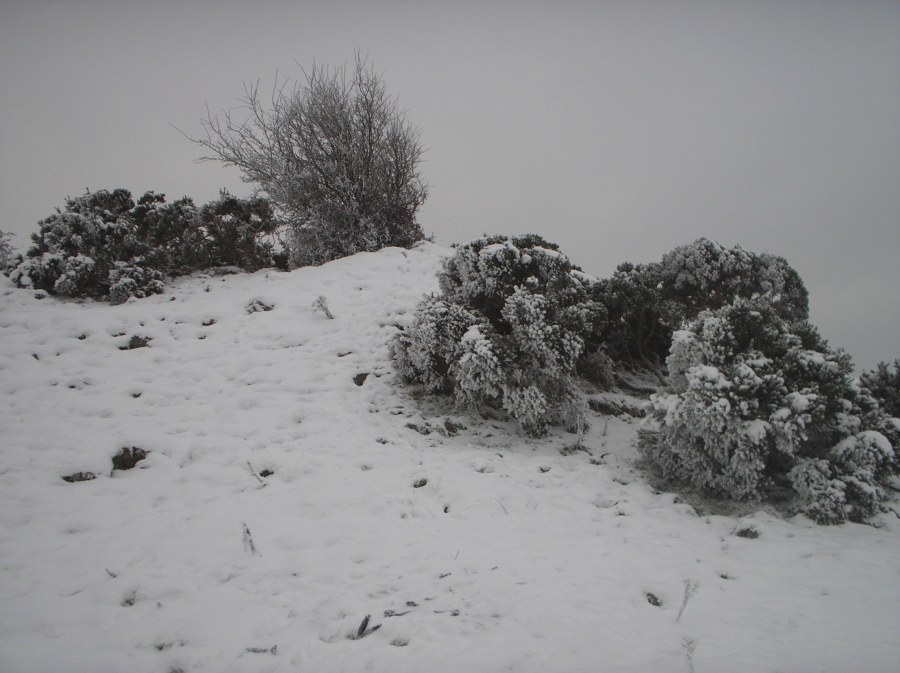 The cairn on Sheebeg in the snow