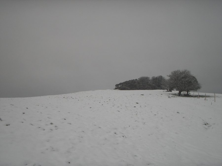 Sheebeg in the snow