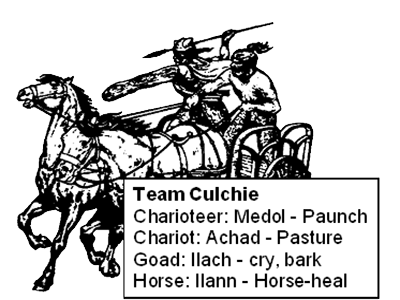 Team Culchie: Charioteer = Medol - “Paunch”; Chariot = Achad - “Pasture”; Goad = Ilach - “Cry, Bark”; Horse = Ilann - “Horse-Heal”